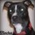 Robin Christenson Willhoit's profile image