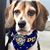 Coral Swofford's profile image
