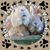 Terri Friesner's profile image