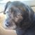 Kristy Kirby's profile image