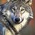 John Lupo's profile image