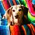 Jessica Nathanson's profile image