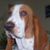 Keith Carper's profile image