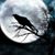 Peggy Martin's profile image
