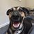 Mariana Bridges's profile image