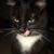 Crystal Brady's profile image