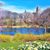 Joanne Mancuso Bernat's profile image