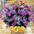 Luanne Wolfgram's profile image
