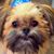 Gayle Stamey's profile image