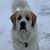 Deb Osting's profile image