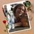 Susie Klinesteker's profile image