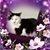 Darlene Struwe's profile image
