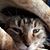 Amy Krull's profile image