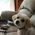Marsha Clark Mangrum's profile image