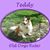 Ann Abbuhl's profile image