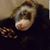 Craig Wies's profile image