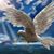 Dragica Lovric's profile image