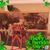 Elaine Rota's profile image