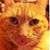 Tim Evans's profile image
