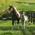 Heather Hurd Swanson's profile image