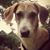 Nicky Schnare's profile image