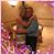 Shannon Farmer's profile image