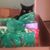 Allison Clayton Grubbs's profile image