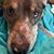 Susan M Sherman's profile image