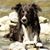 Samantha Mcpherson's profile image