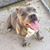 Jose Martinez Ramirez's profile image