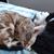 Kathy Moxey Schroeder's profile image