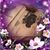 Sephenia Andrews's profile image