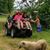 Brenda Muth's profile image