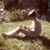 Kay Buetow's profile image