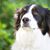 Fosters Slater-Sliwinski's profile image