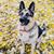 Alison Ertley's profile image