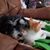 Cheryl L. Bradbury Konarski's profile image