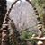 Ginna Ammon-Sellars's profile image