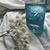 Mary Kanz's profile image