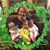 Beth Kain's profile image