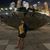 Perla Garcia's profile image
