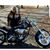 Cindy Nashwinter's profile image