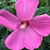 Jane Long Ruser's profile image