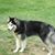 Sherrill Bean's profile image