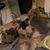 Deb Wright's profile image