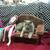 Cooper Kat Furniture's profile image