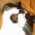James Carter's profile image