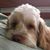 Cheryl Karpinski Hunstein's profile image