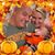 Steven Stanley's profile image
