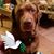 Linda Lamprow's profile image